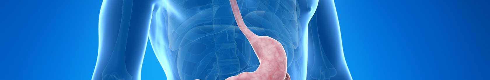 About Esophageal Cancer